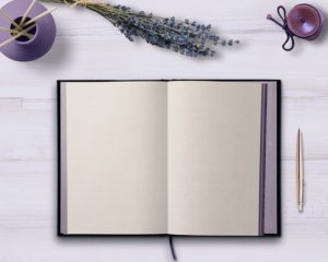 A blank, open book