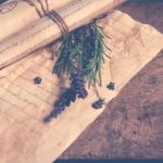 A cutting of a lavender plant resting on old, wrinkled papers